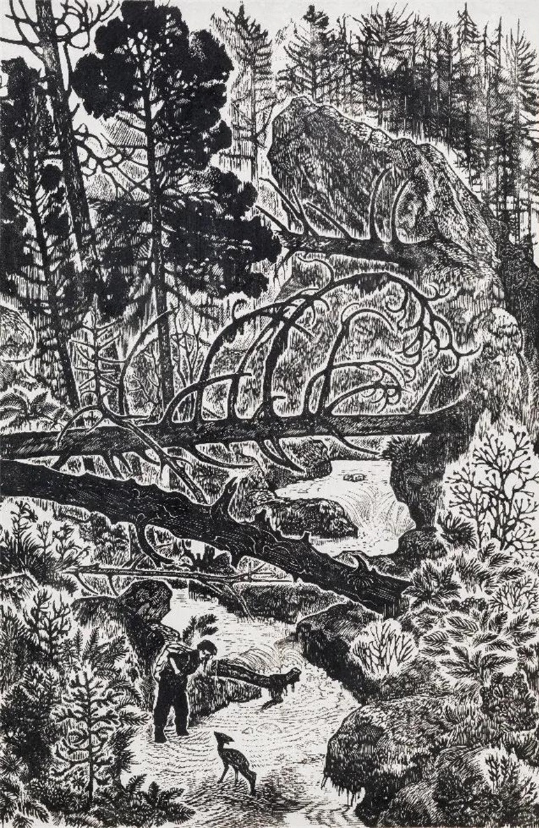 《小鹿你好》 40x26.5cm 1957年.jpg