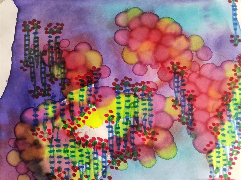 20260417177640452652.jpg 16.jpg