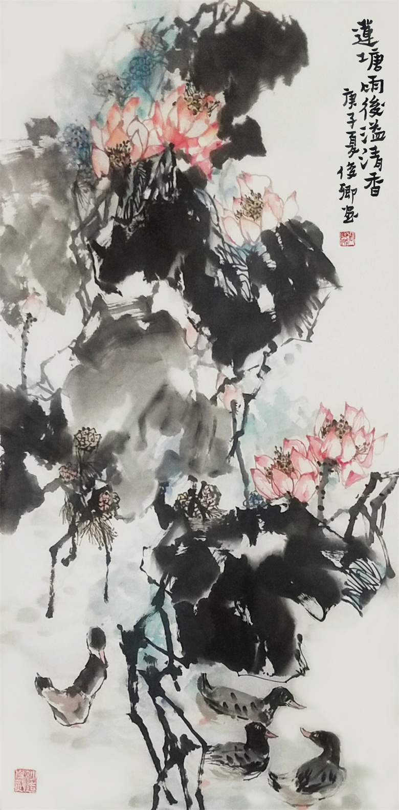 图片1.png