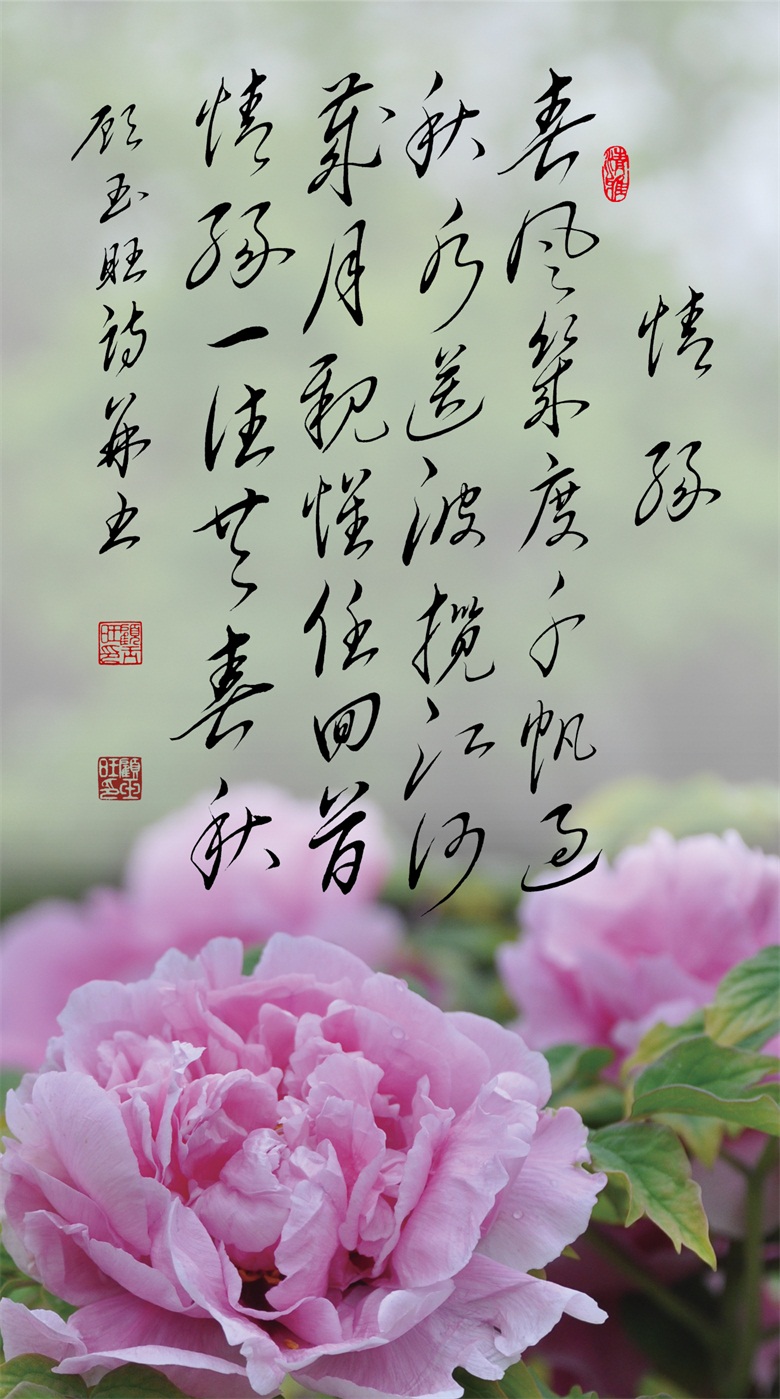 20260519177917858257.jpg 微信图片_20260519155614_268_46.jpg