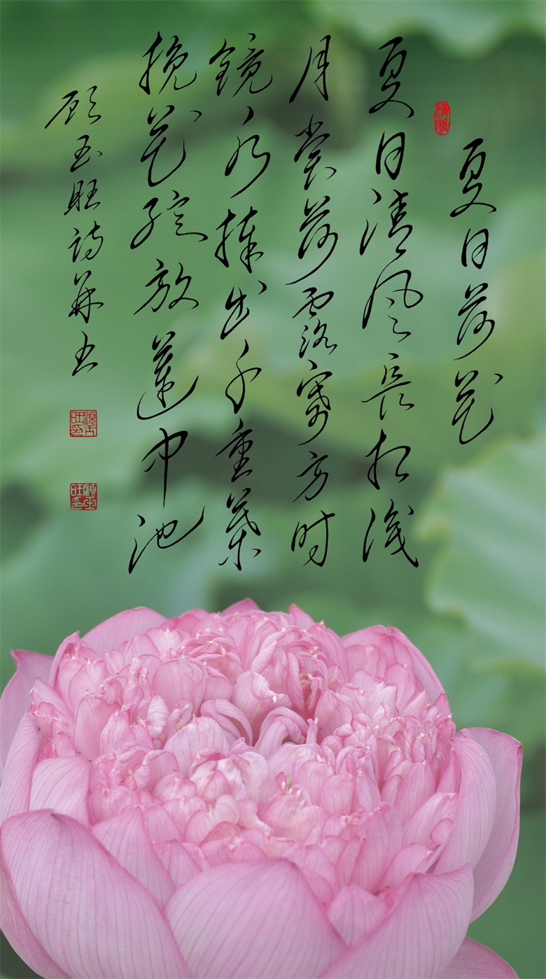 20260519177917866737.jpg 微信图片_20260519155656_275_46.jpg