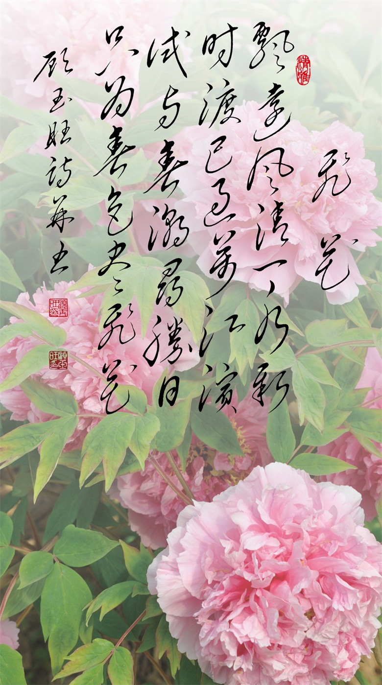 20260519177917870925.jpg 微信图片_20260519155943_279_46.jpg