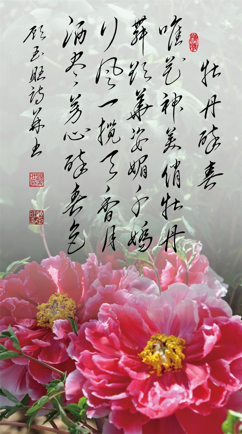 20260519177917872623.jpg 微信图片_20260519160030_281_46.jpg