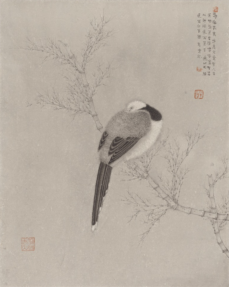 1629881291211072.jpg 《花鸟写生2》49.5x39.5cm 2015年 纸本设色 --刘万鸣.jpg